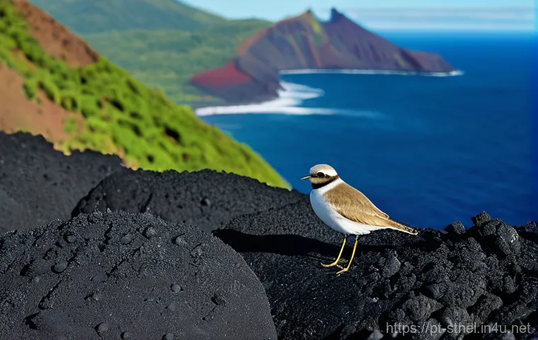 세인트헬레나와 영국 관계 변화 - **A vibrant depiction of Saint Helena's unique natural beauty and responsible exploration.** A panor...