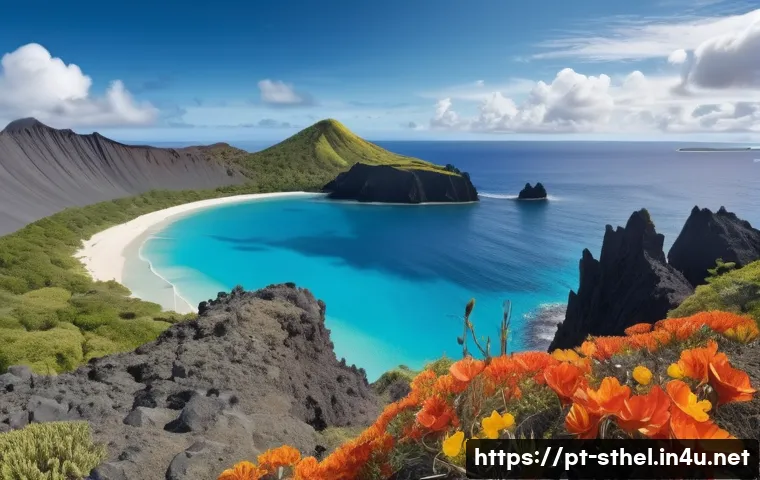Descubra as 5 curiosidades surpreendentes sobre Saint Helena na Era das Grandes Navegações 4 세인트헬레나와 대항해시대 관련 이미지 2