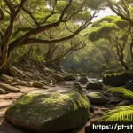 Home 22 세인트헬레나 지속가능한 관광 - A lush, protected natural reserve on Santa Helena island featuring endemic giant lizards basking on ...