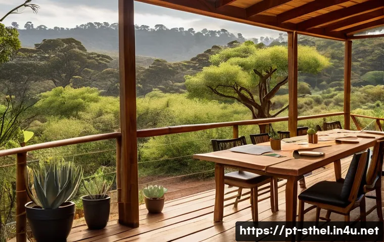 7 dicas para aproveitar o turismo sustentável em Saint Helena e proteger seu ecossistema único 3 세인트헬레나 지속가능한 관광 관련 이미지 1