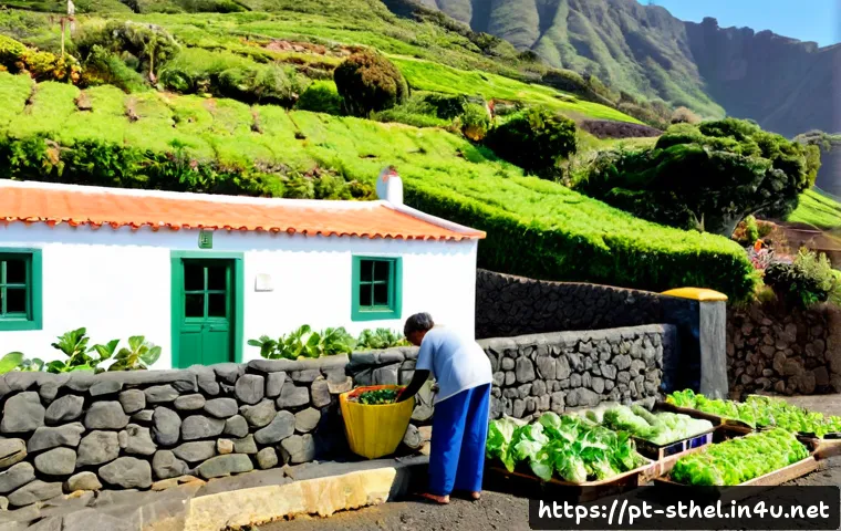 세인트헬레나 주민의 생활 방식 - Photorealistic morning scene of Saint Helena island life, a local middle-aged couple tending a small...